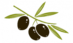 branche d'olives noires